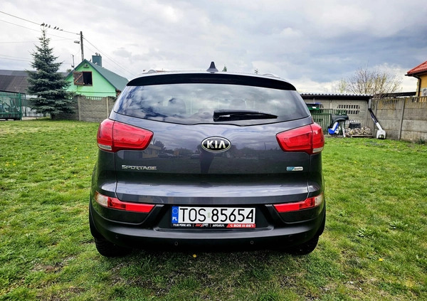 Kia Sportage cena 52900 przebieg: 176000, rok produkcji 2015 z Nowogrodziec małe 529